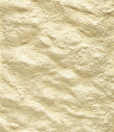 Load image into Gallery viewer, Nutribird A19 papegaai