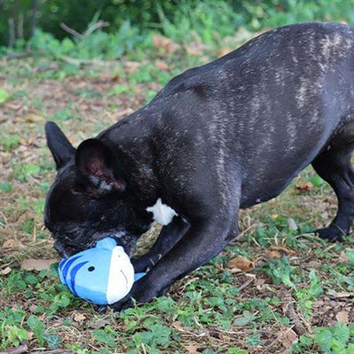 Load image into Gallery viewer, Croci Dansende vis pluche