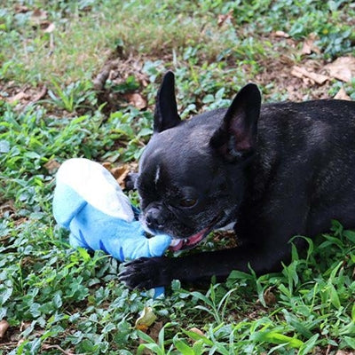 Load image into Gallery viewer, Croci Dansende vis pluche