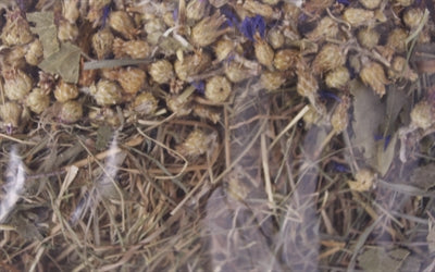 Load image into Gallery viewer, Excellent kruidenhooi korenbloem en berkenblad