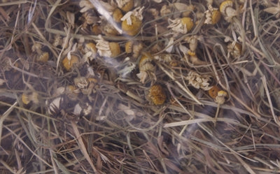 Load image into Gallery viewer, Excellent kruidenhooi kamille en paardenbloem