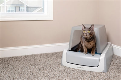 Load image into Gallery viewer, Scoopfree Zelfreinigende kattenbak met kap