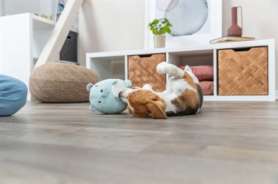 Load image into Gallery viewer, Trixie Pluche beer mintgroen voor puppy