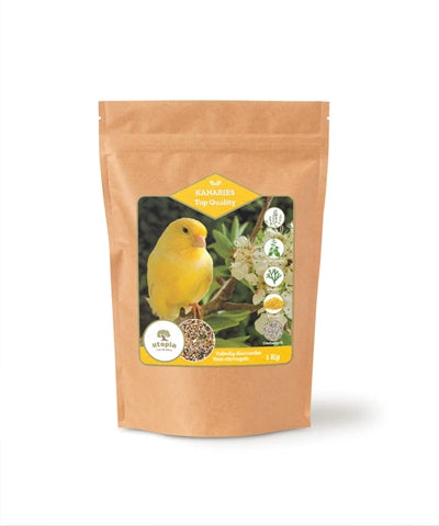 Load image into Gallery viewer, Utopia Kanaries top quality