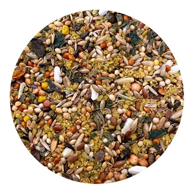 Load image into Gallery viewer, Utopia Grote parkieten afrikaans top quality