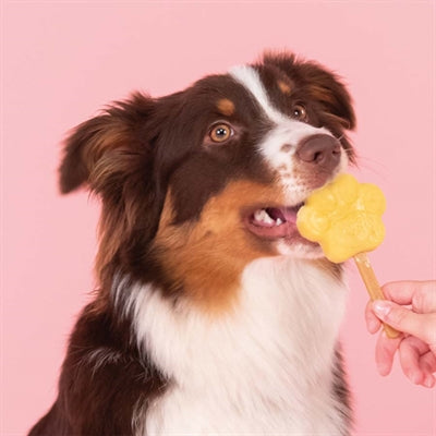 Load image into Gallery viewer, Smoofl ijsmix voor honden appel