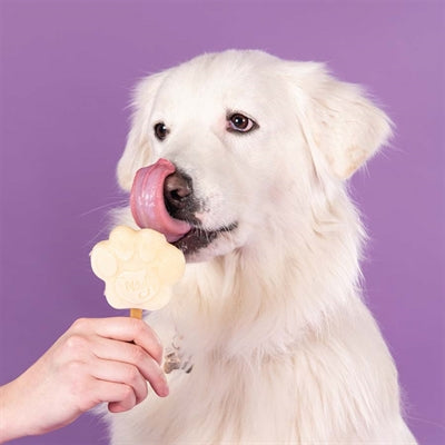 Load image into Gallery viewer, Smoofl Smoofl ijsmix voor honden banaan