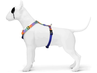 Load image into Gallery viewer, Morso hondentuig h-tuig gerecycled spring blossom