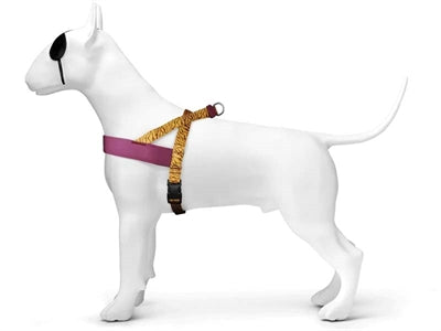 Load image into Gallery viewer, Morso norwegian hondentuig gerecycled jungle drum oranje