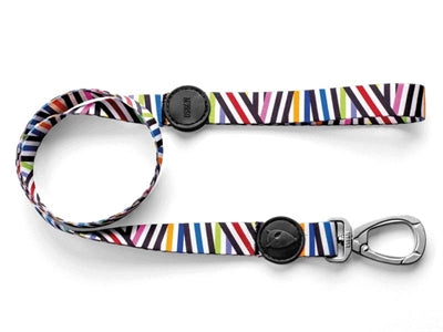 Load image into Gallery viewer, Morso hondenriem gerecycled spaghetti incident