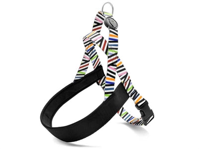 Load image into Gallery viewer, Morso norwegian hondentuig gerecycled spaghetti incident