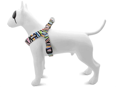 Load image into Gallery viewer, Morso mini hondentuig verstelbaar gerecycled spaghetti incident