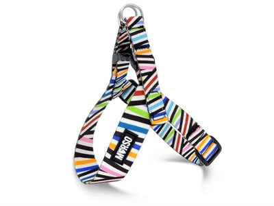 Load image into Gallery viewer, Morso mini hondentuig verstelbaar gerecycled spaghetti incident