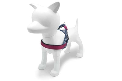 Load image into Gallery viewer, Morso norwegian hondentuig gerecycled power flow zwart