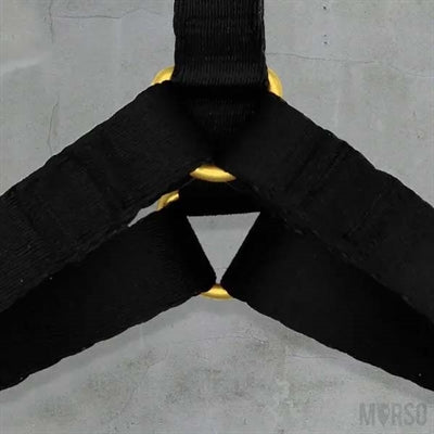 Load image into Gallery viewer, Morso hondentuig h-tuig gerecycled gold caviar goud