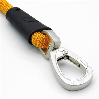 Load image into Gallery viewer, Morso hondenriem regular rope gerecycled gold goud