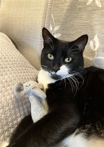 Load image into Gallery viewer, Rosewood Grijpspeelgoed olifant met ratel eco friendly gerecycled