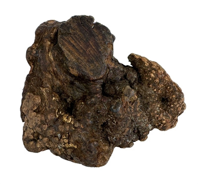 Load image into Gallery viewer, Dog woodzzz kauwwortel met olijfolie