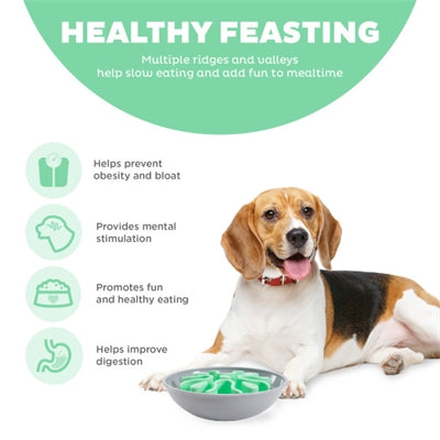 Load image into Gallery viewer, Outward hound Wobble slo bowl