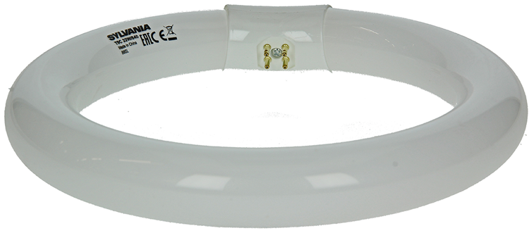 Load image into Gallery viewer, Sylvania 1044510 - tl lamp circlin 22w koud wit 840 | 3 stuks