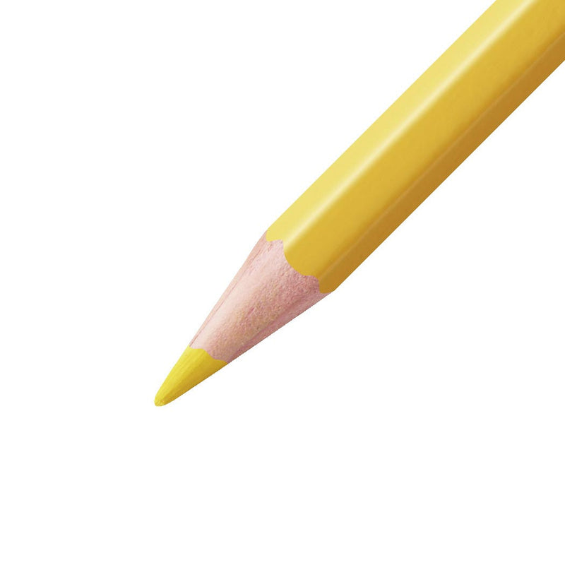 Load image into Gallery viewer, Stabilo aquacolor potloden 12 kleuren