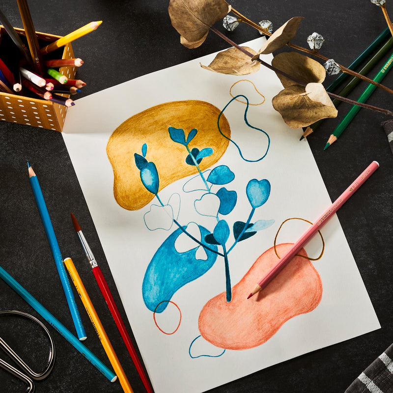 Load image into Gallery viewer, Stabilo aquacolor potloden 12 kleuren