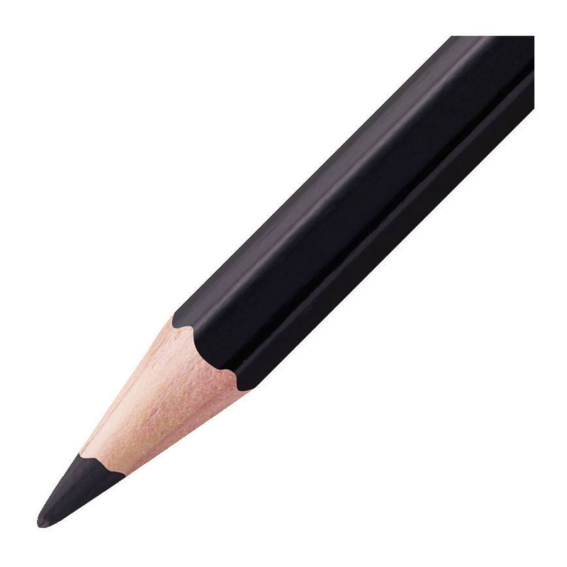 Load image into Gallery viewer, Stabilo aquacolor - premium aquarel kleurpotloden - arty - metalen etui 24 kleuren