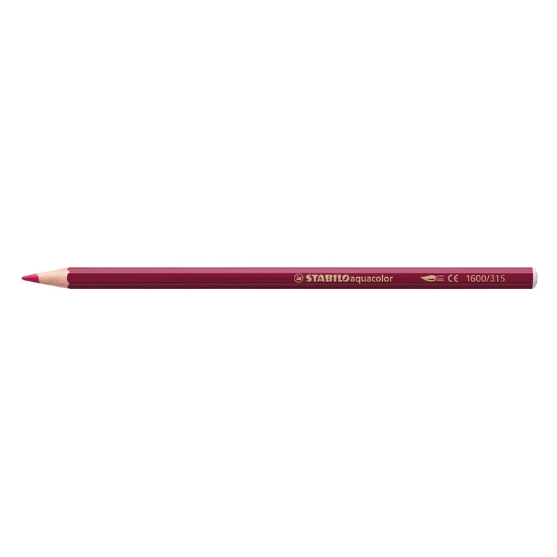 Load image into Gallery viewer, Stabilo aquacolor - premium aquarel kleurpotloden - arty - etui met 36 kleuren