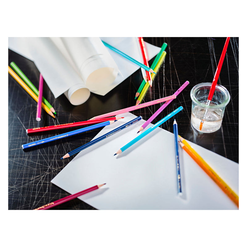 Load image into Gallery viewer, Stabilo aquacolor - premium aquarel kleurpotloden - arty - etui met 36 kleuren