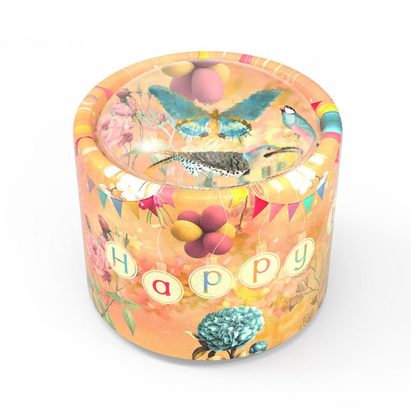 Load image into Gallery viewer, Brilly005 muziekje: happy birtday. 14+