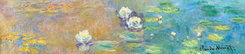 Load image into Gallery viewer, Brillygv2 muziekje: monet nympheas. (la