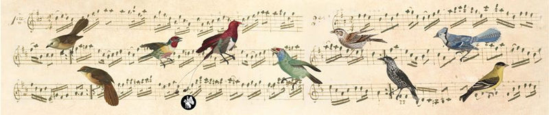 Afbeelding laden in galerijviewer, Rondo61 muziekje: notes (wie schön, dass