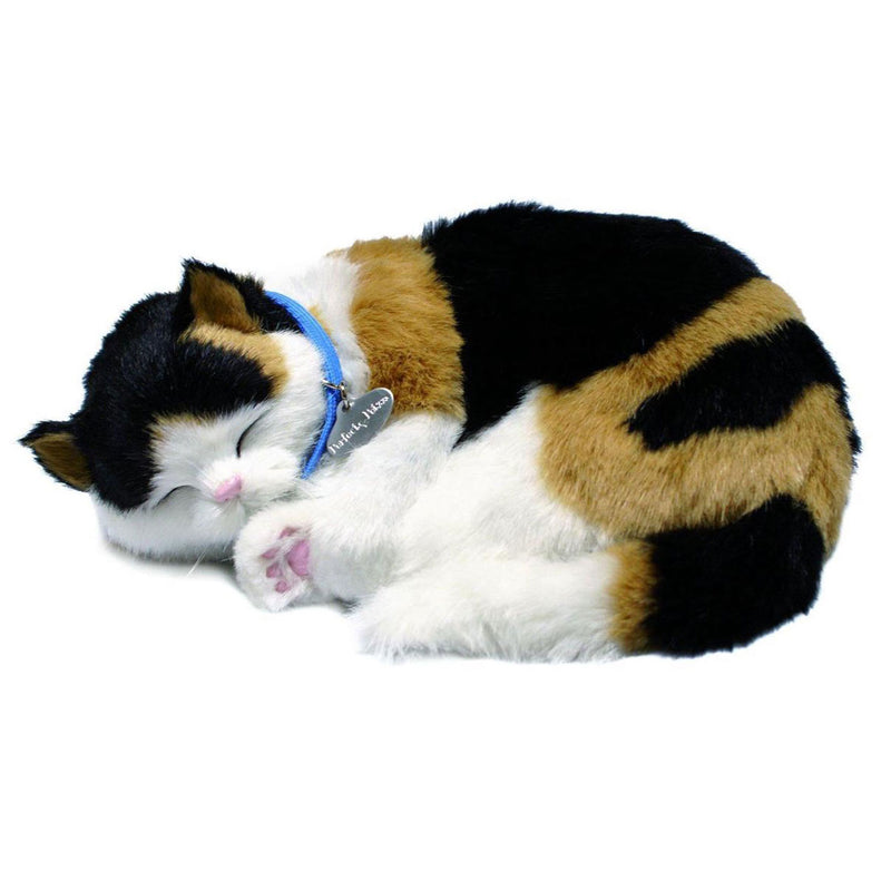 Load image into Gallery viewer, Perfect petzzz perfect petzzz soft lapjeskat