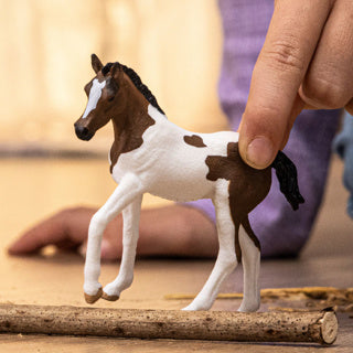 Load image into Gallery viewer, Schleich | 5 stuks
