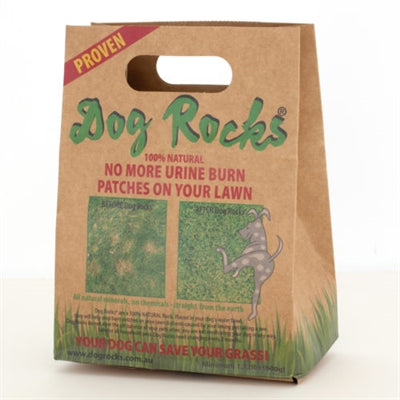 Load image into Gallery viewer, Dog rocks