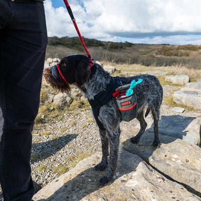 Load image into Gallery viewer, Kong Pick up pouch