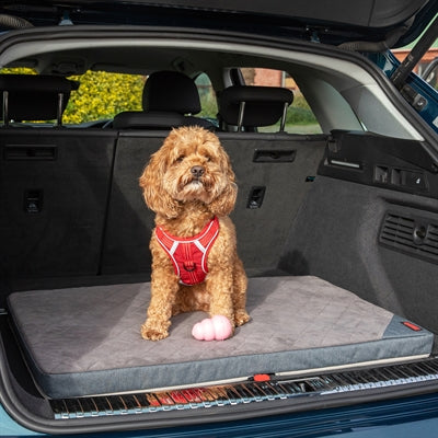 Load image into Gallery viewer, Kong Reismat opvouwbaar