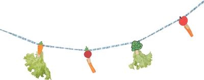 Load image into Gallery viewer, Zolux neolife snack slinger cavia blauw