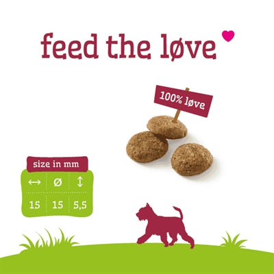 Load image into Gallery viewer, Smolke senior medium brokken