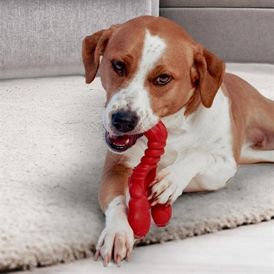Load image into Gallery viewer, Nylabone extreme chew lobster filet mignonsmaak