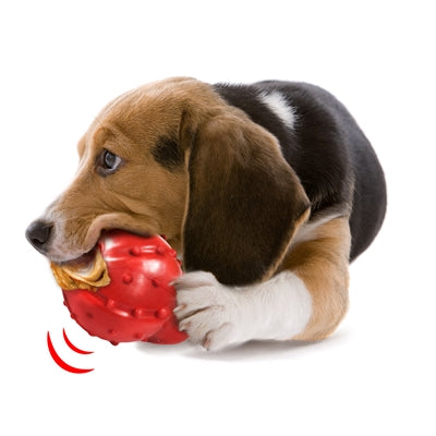 Load image into Gallery viewer, Nylabone Strong rubber cone baconsmaak