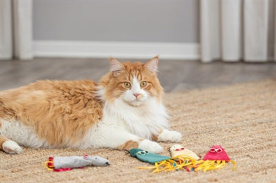 Load image into Gallery viewer, Trixie muis pluche met catnip assorti