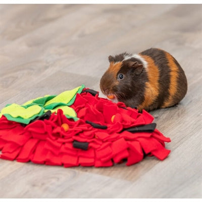 Load image into Gallery viewer, Trixie snuffelmat aardbei rood