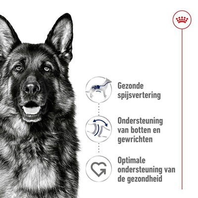Load image into Gallery viewer, Royal canin maxi adult