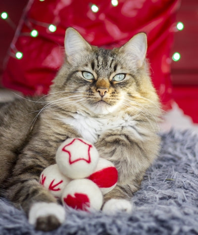 Load image into Gallery viewer, Cupid comet wollen ballen