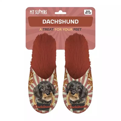 Load image into Gallery viewer, Pantoffel dachshund teckel oranje