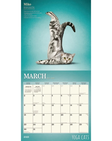 Load image into Gallery viewer, kalender yoga cats 2025