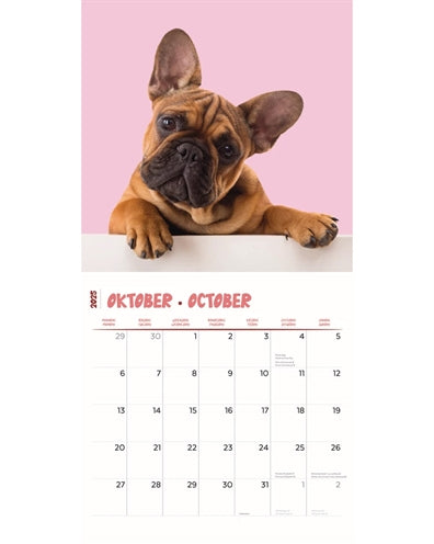 Load image into Gallery viewer, Kalender frenchies studio 2025