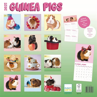 Load image into Gallery viewer, kalender cavia's studio 2025