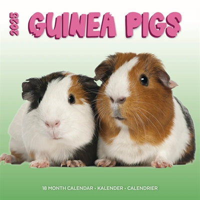 Load image into Gallery viewer, kalender cavia's studio 2025